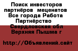 Поиск инвесторов, партнёров, меценатов - Все города Работа » Партнёрство   . Свердловская обл.,Верхняя Пышма г.